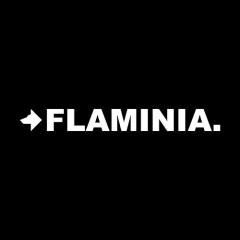 logo_flaminia.jpg