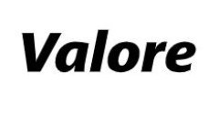 valore_logo_240x24073