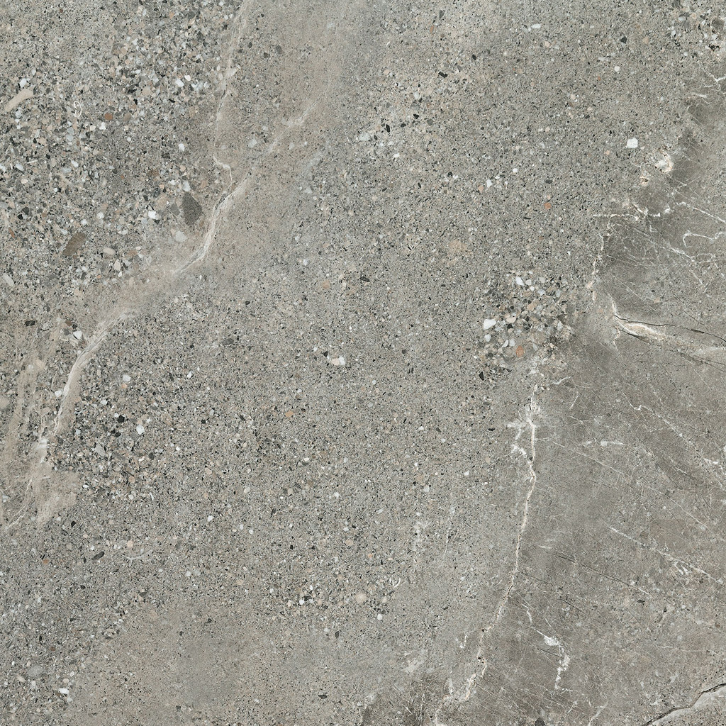 domino_alveo_1.jpg