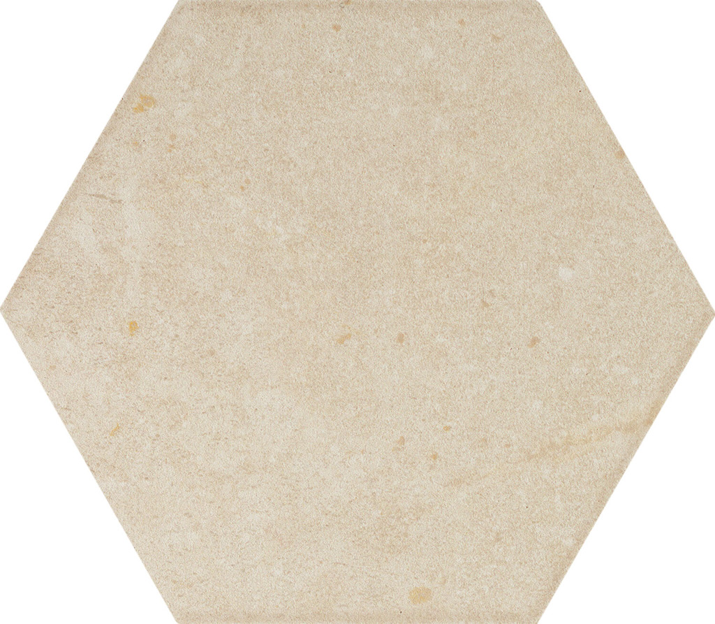 domino_bihara_3.jpg