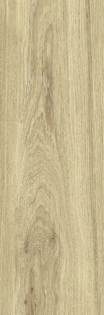 paradyz_greatwood_01.jpg