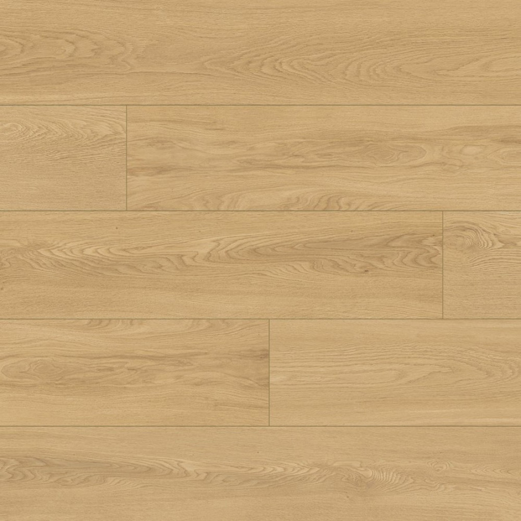 Classen Tradition Cremona Oak 65124