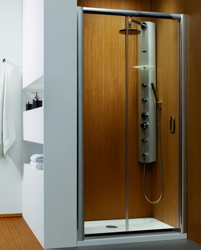 Radaway zuhanyajtó Radaway Premium Plus DWJ 110 átlátszó