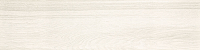 20190121_2.jpg