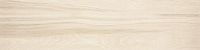20190121_3.jpg