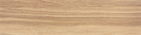 20190121_4.jpg