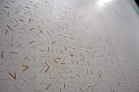 aparici_stitch_2.jpg