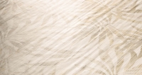 area_bamboo_3.jpg