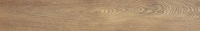 arte_new050.jpg