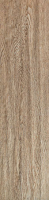 arte_new071.jpg