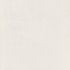 arte_velo_2.jpg
