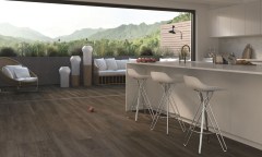 castelvetro_more_9.jpg