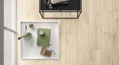 castelvetro_woodland_5.jpg