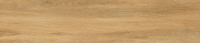 cerrad_20240119_366.jpg