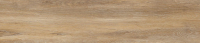 cerrad_20240119_367.jpg