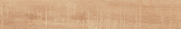 cerrad_20240119_375.jpg