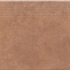 cerrad_20240119_598.jpg