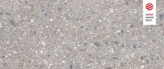 cerrad_20240119_71.jpg
