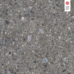 cerrad_20240119_79.jpg
