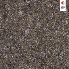 cerrad_20240119_85.jpg