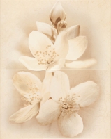 cersanit_diana_3.jpg