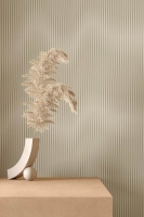 coem_moire_4.jpg