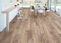 crz64_kauri_5.jpg
