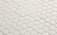 mutina_botanica_4.jpg