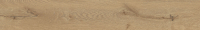 pp-aldea-gold-str-mat-1498x230.jpg