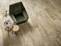 ragno_woodmania_3.jpg