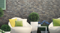 rondine_lyon3d_1.jpg