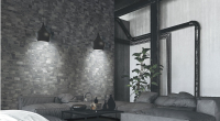 rondine_lyon3d_3.jpg
