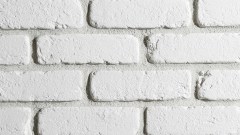 stegu_2025_2563
