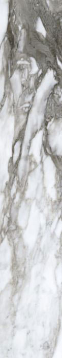 Roberto Cavalli Lush Calacatta Renoir falicsempe és padlólap 19,6x119,2 cm