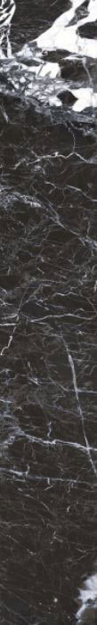Roberto Cavalli Lush Noir Antique falicsempe és padlólap 19,6x119,2 cm